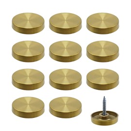 Rannb Decorative Mirror Screws Gold Cap Cover Nails 1"/25mm Cap Dia 304 Stainless Steel Screw Covers Caps Brushed -12pcs