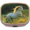 White Horse Brass Rectangle Pill Box