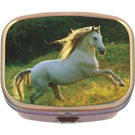 White Horse Brass Rectangle Pill Box