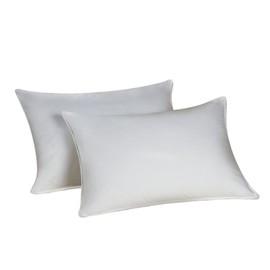 Envirosleep Resiloft Queen Pillow Set of 2 Featured at Many Hotels