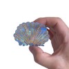 Novelty Sea Shell Hair Clips,Cute Acetate Claw Clip for Women,Fashion