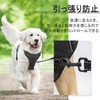 Rabbitgoo Dog Harness, Anti-Pulling, Less Burden, Collar, Fitting Without Lifting
