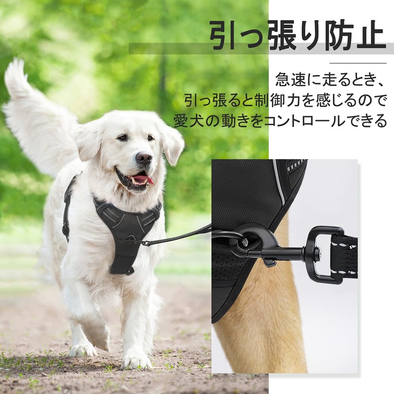 Rabbitgoo Dog Harness, Anti-Pulling, Less Burden, Collar, Fitting Without Lifting