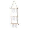 3 Tiered Wall Hanging Plant Terrarium with 12 Test Tubes