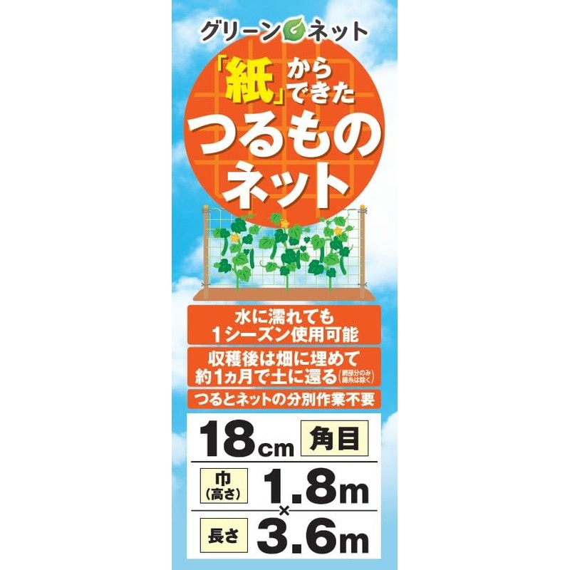 Green Net Paper Vine Net 7.1 inches (18 cm) Square