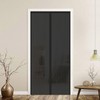 Premium Magnetic Mosquito Net for Doors, Black, 120 x 210cm