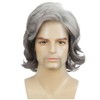 Siudus Mens Grey Short Wig Layered Middle Part Hair Wigs