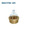 Supply Giant CSDB0018 1/8 in. Lead-Free Brass Pipe Cap for
