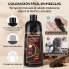 Kaisasa® Shampoo Con Tinte Cubre Canas Con Aceite De Argán