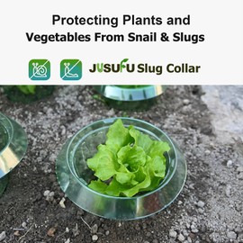 6 Pack Slug Collars for Plants,Medium-Sized Snail Protection Ring, Provides Effective Protection Against Snails for Your Salad Plants and Others Plants.