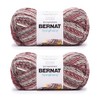 Bernat Symphony Pomegranate Punch Yarn - 2 Pack of 225g/8oz