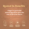 Chimes Ginger Chews 2LB Variety Pack - Original, Orange, Mango,