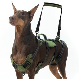 BINGPET Dog Lift Harness for Medium Dogs,Full Body Support Rehabilitation Dog Sling Carrier with Handles,Reflective Multifunctional Mobility Assistance Vest for Senior Pets Joint Injuries,Arthritis,M