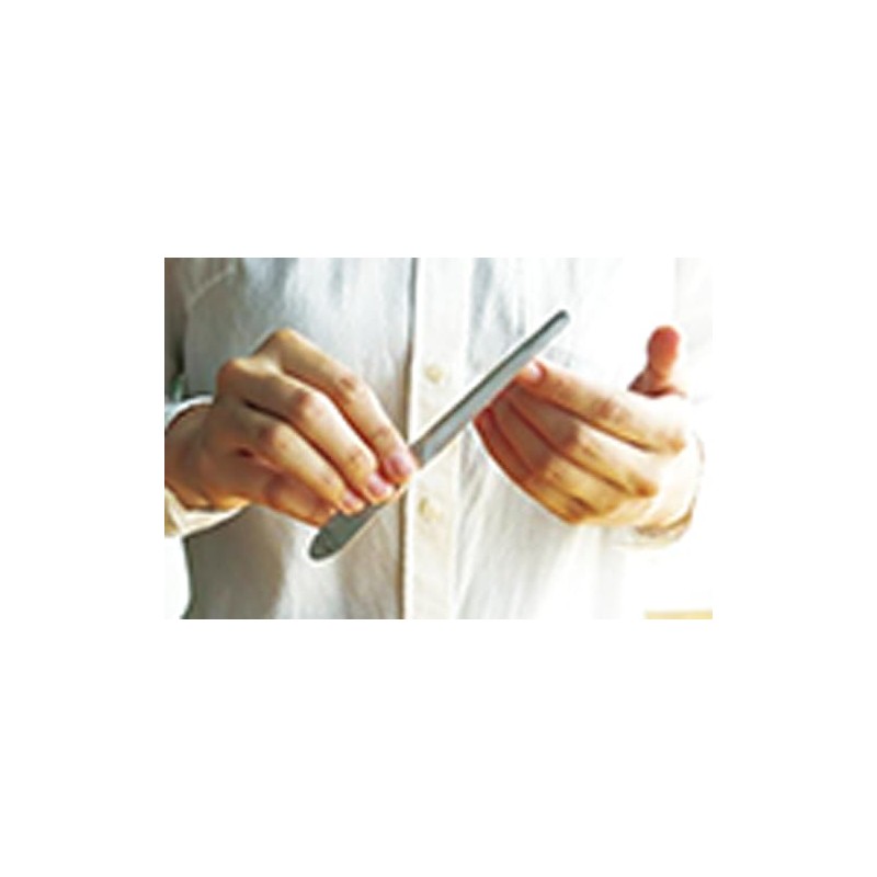 Handsawa File Nail File Standard with Case Red Silver