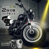 PIENSE Motorcycle Fog Light with 2 LEDs / Switch Included,