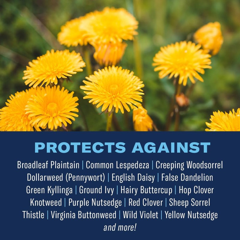 BioAdvanced 3-in-1 Weed and Feed for Southern Lawns, Granules, 20