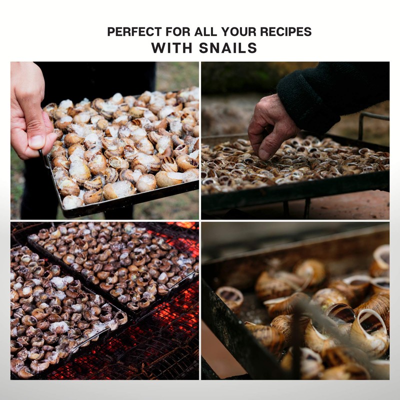 DOJA Barcelona | ENAMELED Iron Can for Snails or Square