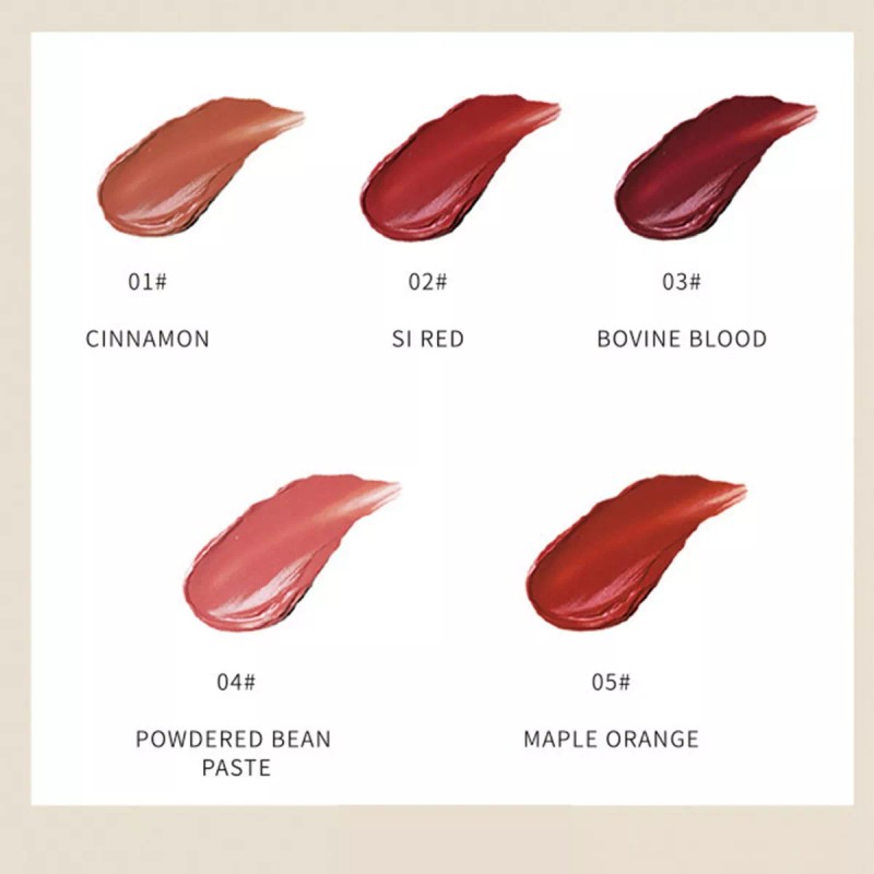 Mizetli Lápices Labiales Pintalabios Mate Lip Gloss Maquillaje 5pzs