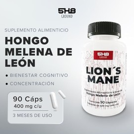 Melena de León Lions Mane Adaptógeno Con Magnesio Memoria 5H8 NUTRITION