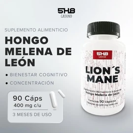 Melena de León Lions Mane Adaptógeno Con Magnesio Memoria 5H8 NUTRITION