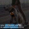 Voarge Dog Harness for Large Dogs, Anti-Pull Dog Harness with