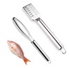 Zasjon Fish Scaler Stainless Steel, Pack of 2 Fish Peeler