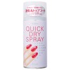 ネイリスト クイックドライスプレーII