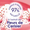 NAIR Caresse Set - Cold Wax Strips for Face, Easy