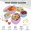 Anatole Silicone Food Storage Containers 4 Pcs Lunch Bento Box