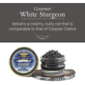 OLMA White Sturgeon Caviar - Glossy Golden Pearls - Malossol Fish Roe With Pure Sea Salt - Smooth Flavor & Mouthfeel - Superior Grade Fresh & Tasty Gourmet Fish Eggs - 1 oz (28g) Glass Jar