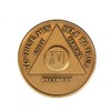16 Year AA Medallion Traditional Bronze Raised Center Sobriety Chip