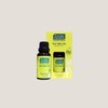 Elumam Thursday Plantation Tea Tree Oil 25ml (43374649) / 엘루맘 써스데이플랜테이션 티트리 오일 25ml (43374649)