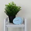 Cepillo Esponja Para Baño para Bebé Cepillo Esponja De Baño