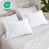 Bare Home 100% Mulberry Silk Pillowcase for Hair and Skin