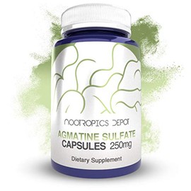 Nootropics Depot Agmatine Sulfate Capsules | 250mg | 120 Count | Energy Supplement | Amino Acid Derivative | Supports Physical Strength and Workout Recovery | Nitric Oxide Booster