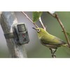 Technaxx Wildlife Camera with Motion Sensor Night Vision Function -