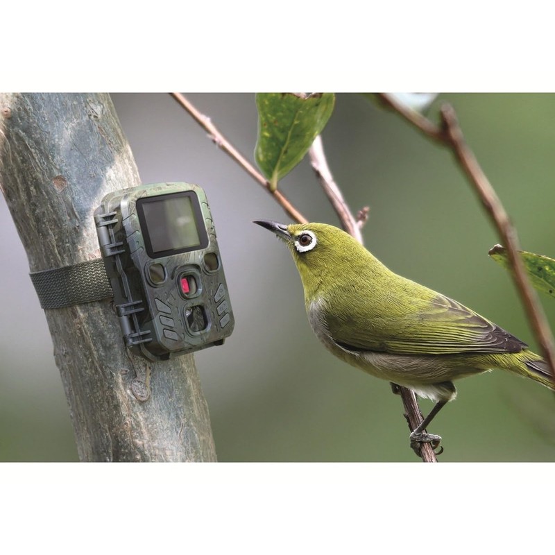 Technaxx Wildlife Camera with Motion Sensor Night Vision Function -