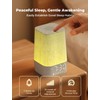 LIORQUE Sunrise Alarm Clock Wake Up Light with 30 Soothing