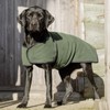 Dog & Field Duel Layer Towelling Coat, Olive Green, XXL