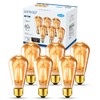 ANWIO Vintage Edison Light Bulb ST21 LED Filament Bulb 7W(60