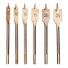 Amtech F1425 6 Piece Titanium Flat Wood bit Set