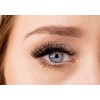 Clavier Du2o Double Volume Artificial Eyelashes in Cups, Various Lengths