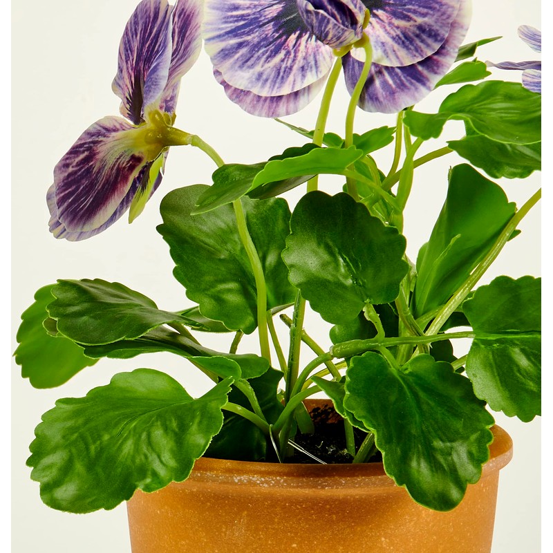 Worth Imports 10" Blue Pansy in 4" Pot Plant