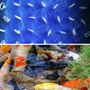 RINOO 10 Pcs Fish Pond Filter Brushes Set for Koi