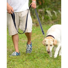 Taglory Nylon Dog Leash 6ft, Soft Padded Handle Pet Reflective Leashes for Medium Large Dogs Walking & Training, Black