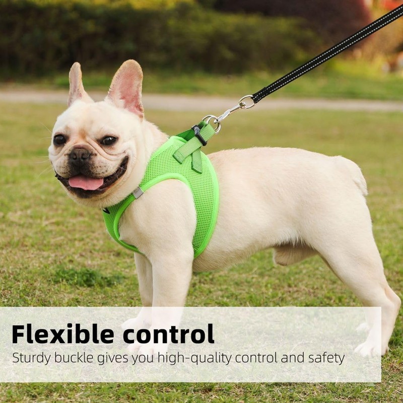 PINA Dog Harness for Small Dogs No Pull, Small Dog