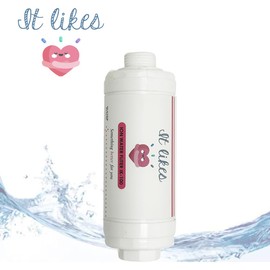 It likes ION WATER Bidet filter - Clean Water Bidet Filter for Electronic Toilet Seats (4PCS)