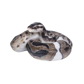 Uvia Ball Python 19.7 x 14.8 x 9.8 cm Doll Figurine Figurine Animal Garden Decoration Snake H18317