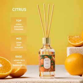 Airkeep Reed Diffuser Oil Set with Reed Sticks,Citrus Aromatherapy Oil Scent Diffuser for Home Office Bathroom Decoration Perfume and Gifts 3.38oz/100ml
