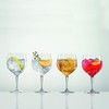 Spiegelau Special Gin and Tonic Glasses Set of 4 -